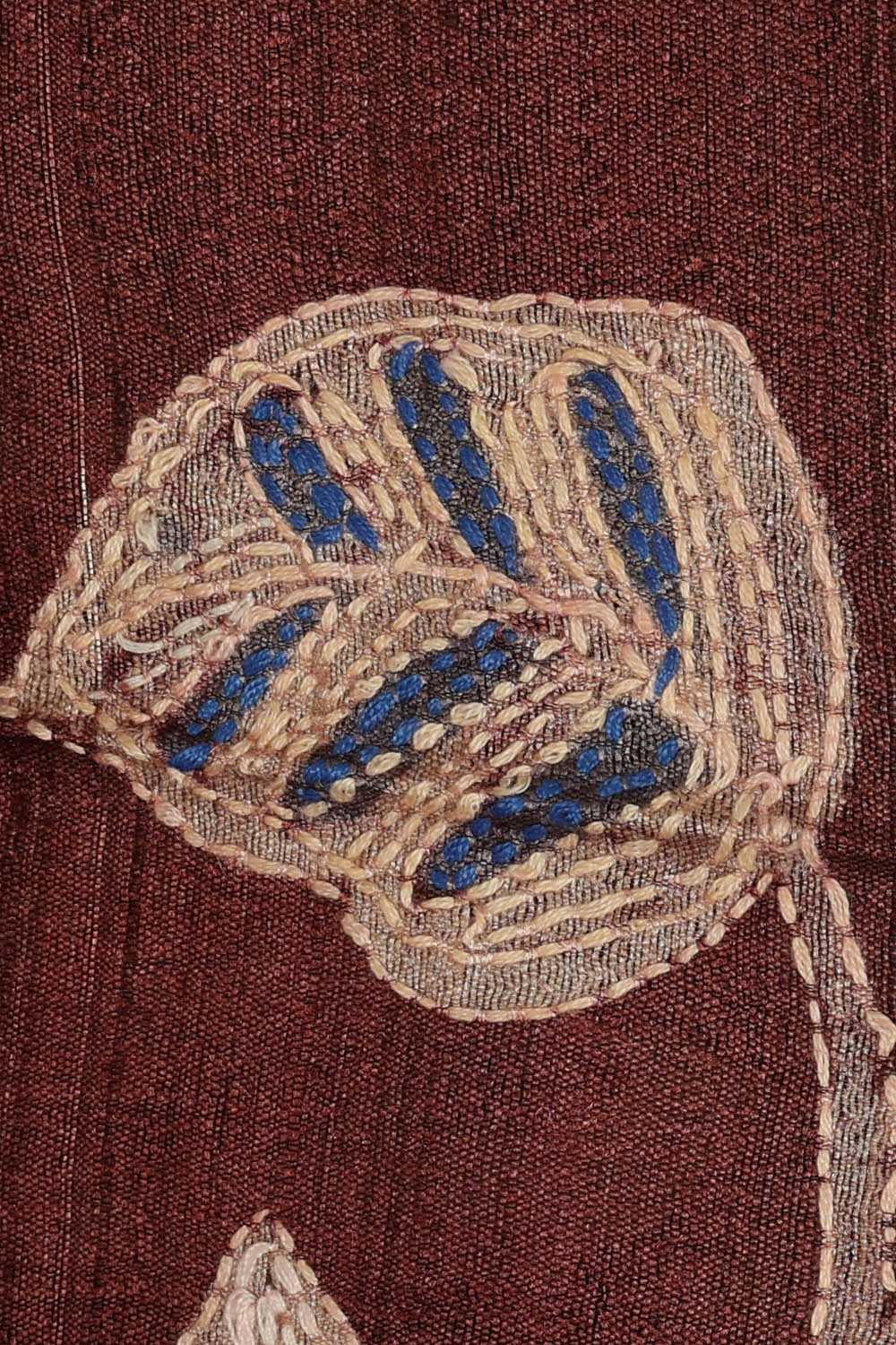 Image of Brown Tussar Silk Saree
