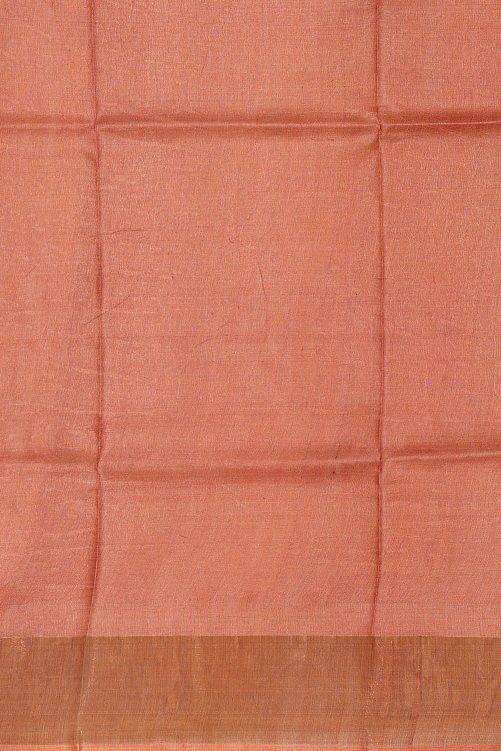 Image of Beige Desi Tussar Silk Saree