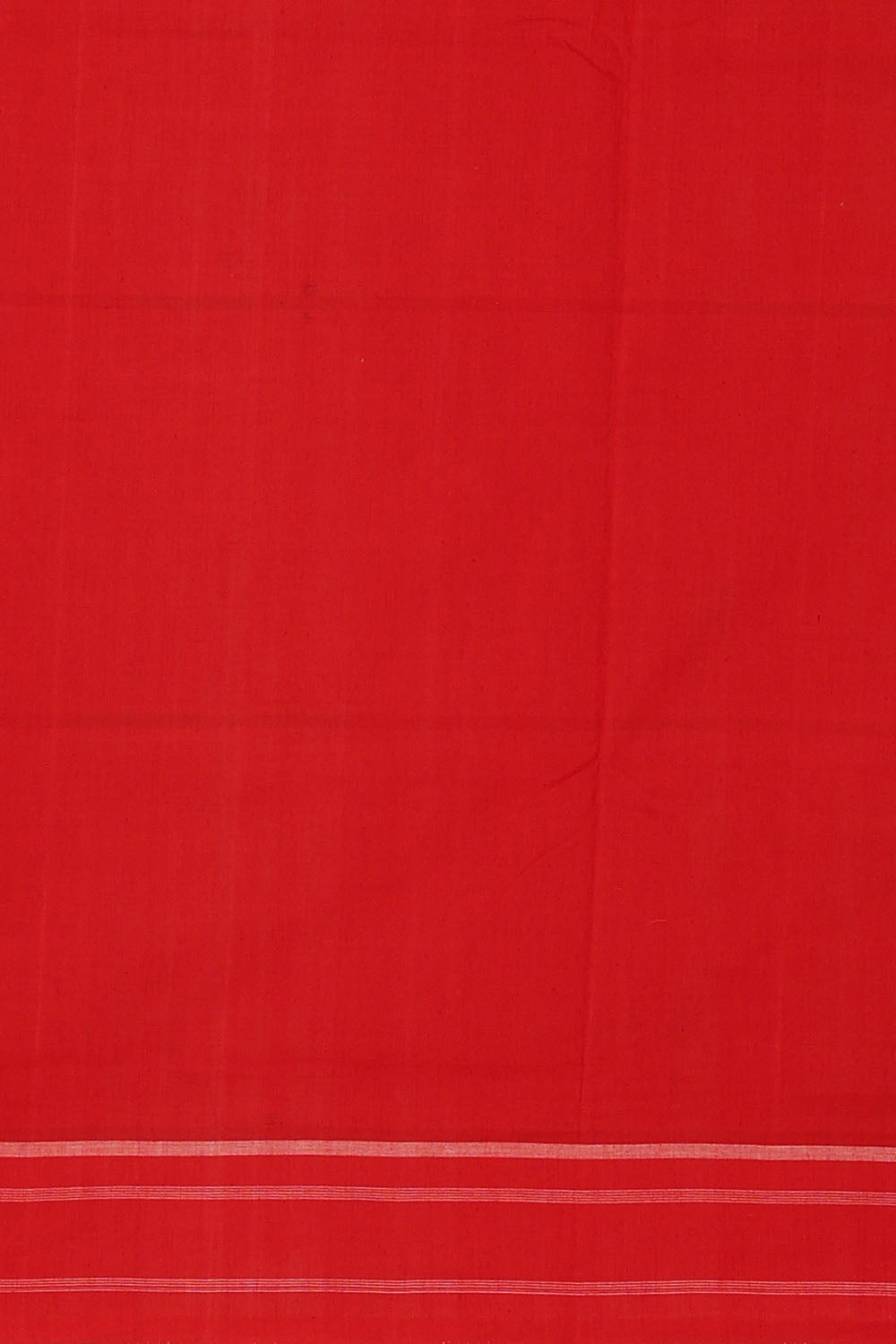 Image of White Pochampally Ikat Cotton Saree
