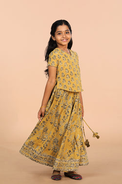 Collection of Cotton Kalamkari girls skirt & top set in a gallery layout