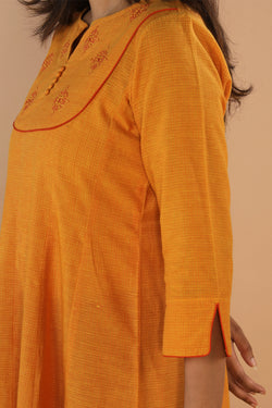 Image of Traditional long panelled dress